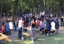 Viyana Demokratik Haklar Derneği piknik etkinliği gerçekleştirdi