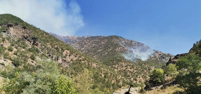 Dersim’de orman yangını devam ediyor: Yangın bölgesinde MKE menşeli mermi kovanları bulundu