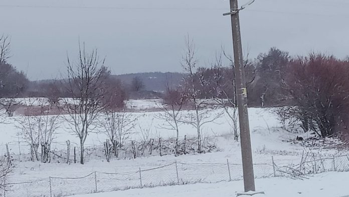 Edirne’de donarak yaşamını yitirmiş 9 mültecinin cansız bedenine ulaşıldı