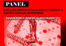 Viyana; Panele Çağrı